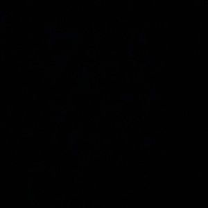 Meet your Posher, Keri